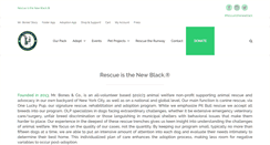 Desktop Screenshot of mrbonesandco.org